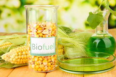 Fairford biofuel availability